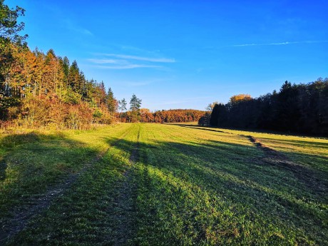 Podzimní procházka v Dobříši VII