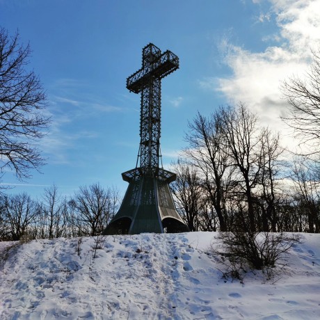 Montréal VI