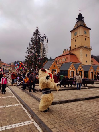 Brašov I