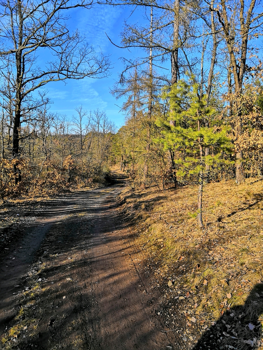 Procházka v Dobříši I