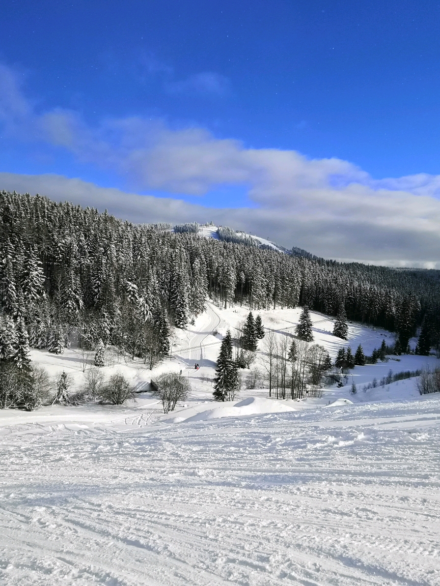 Krušné hory - Abertamy I