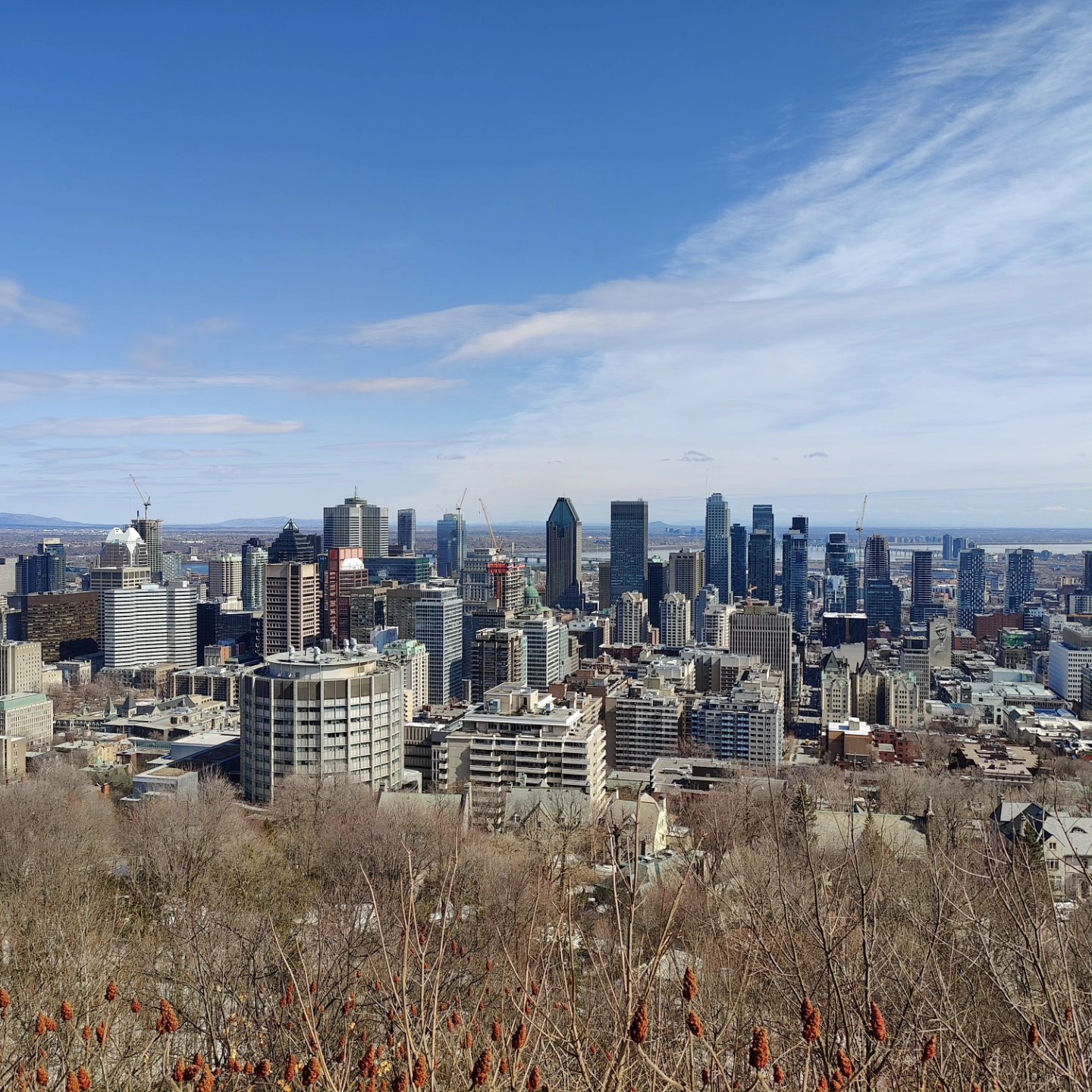 Montréal V