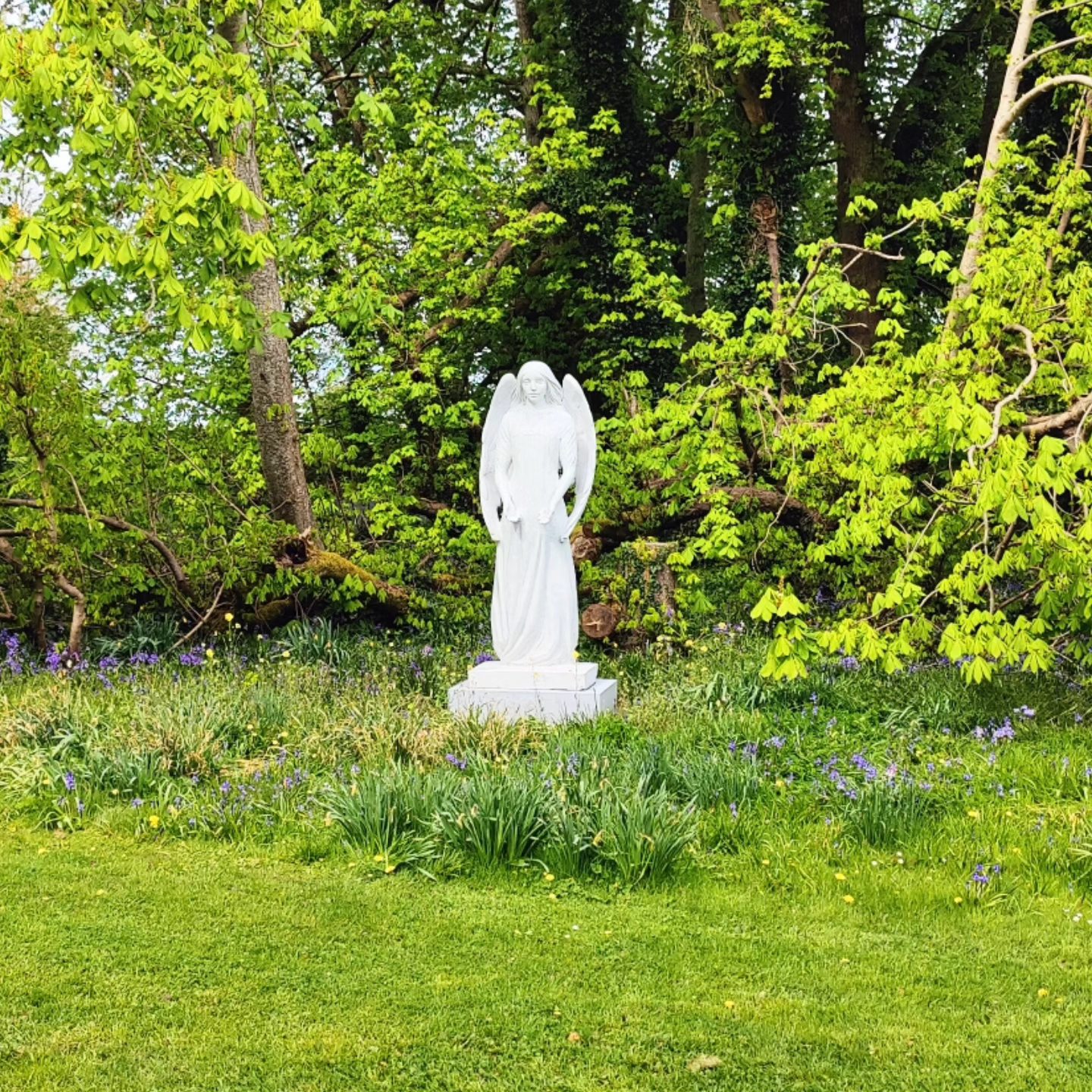 Sanctuary III