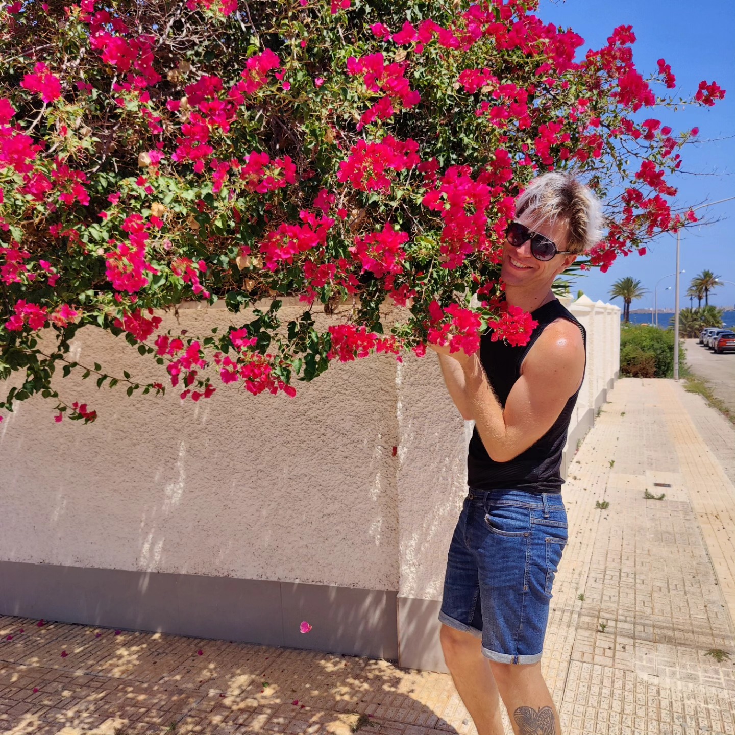 Spain V